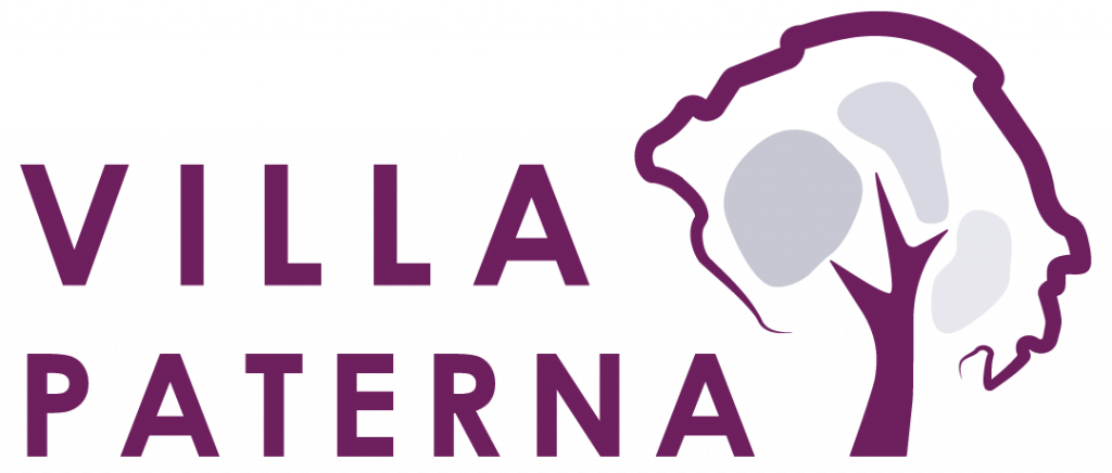 Logotipo Villa Paterna