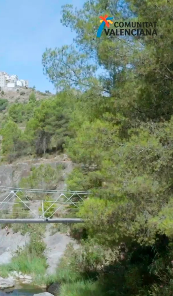 cel llucena